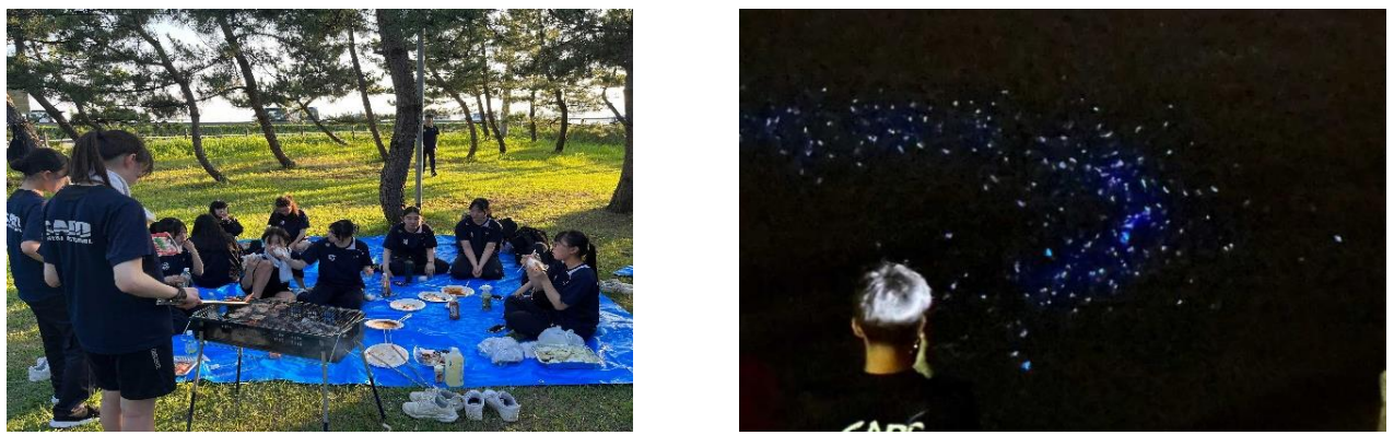 「体験する」バーベキューとキャンプ　　　　　　　　　　　　　　　　「体験する」ウミホタルの観察