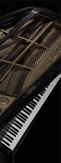 NTTインターコミュニケーション・センター [ICC]「坂本龍一