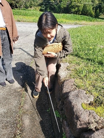 野草を採取し食す体験