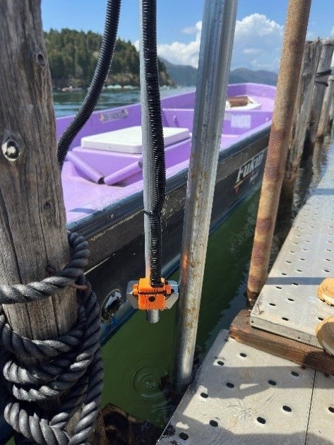 桟橋の水温センサー