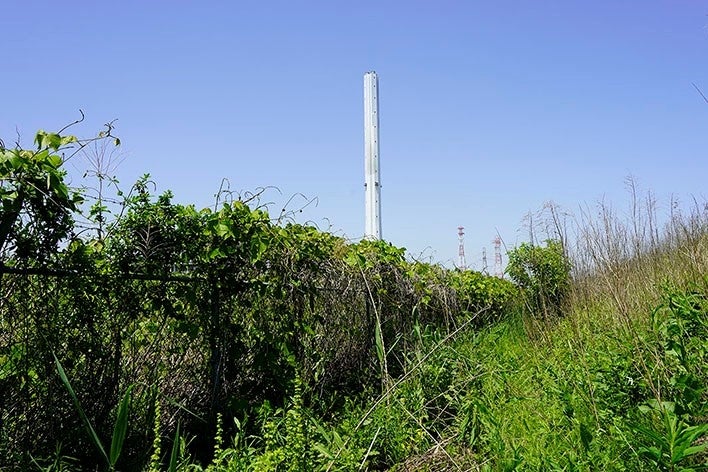 青柳菜摘＋細井美裕　参考図版