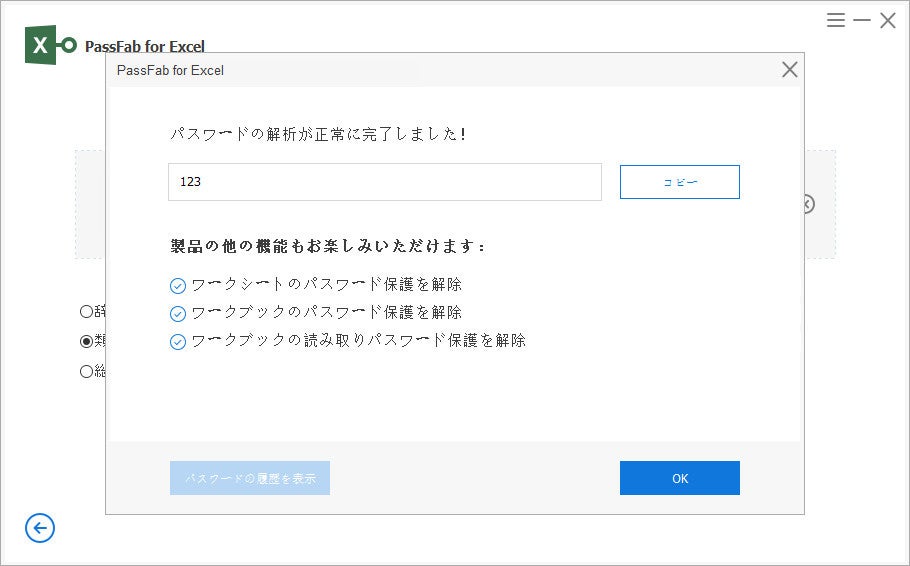 新品未使用エクセル　フィン X-1 EXCEL FIN ＲＥＤ　Ｘ 新品未使用エクセル フィン X-1 EXCEL FIN RED X