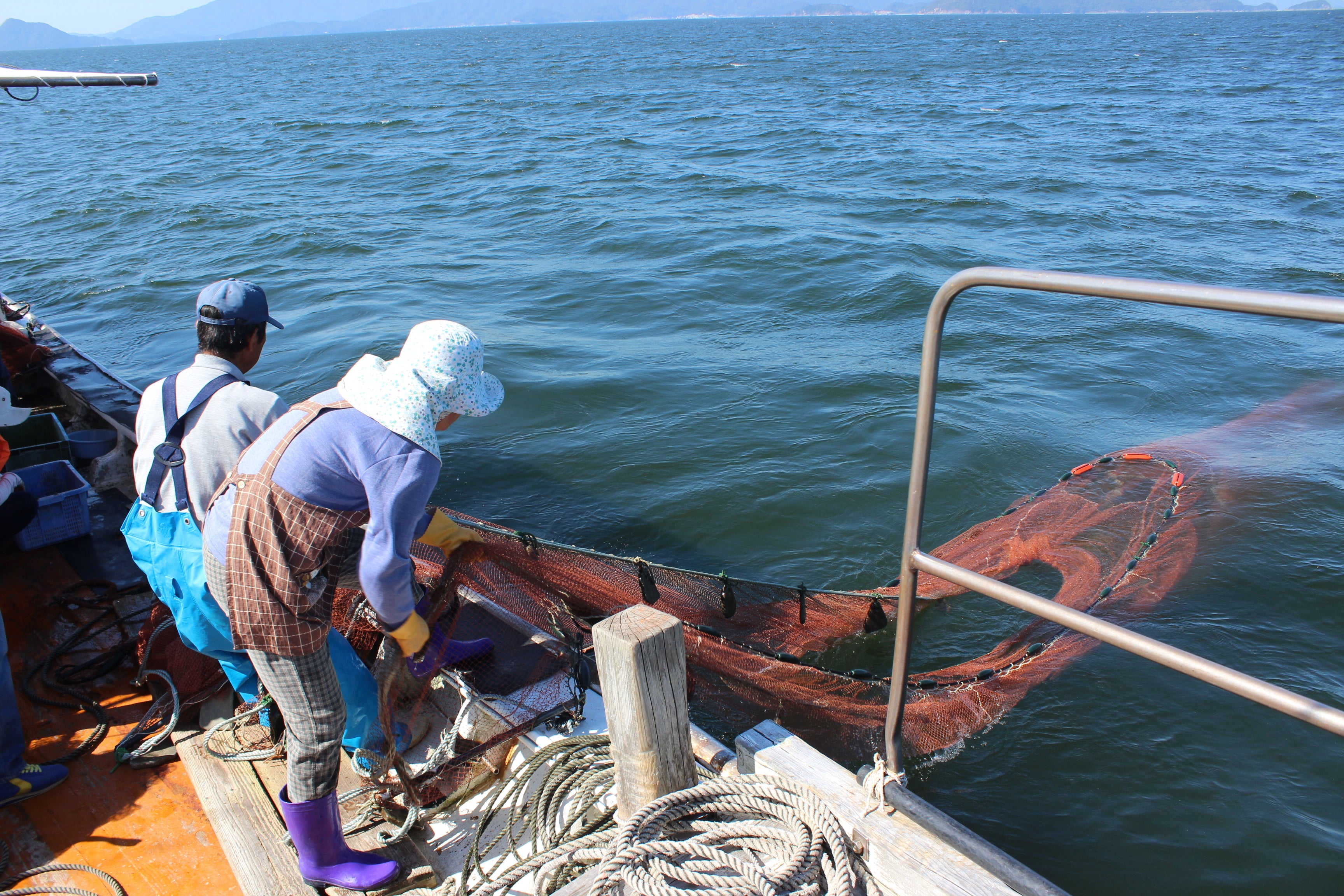 伝統漁法・うたせ網漁