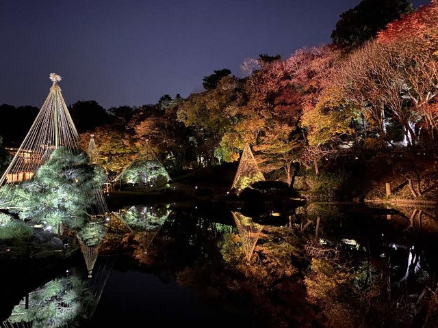紅葉で色づく「肥後細川庭園」が幻想的にライトアップ 熊本を拠点に 紅葉で色づく「肥後細川庭園」が幻想的にライトアップ 熊本を拠点に