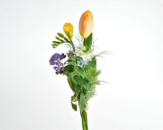 季節の花パック