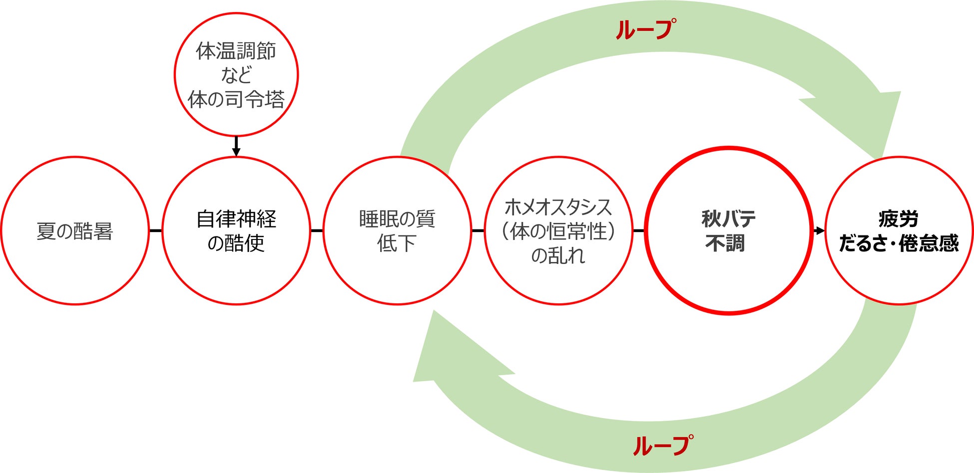 図3 秋バテが生じるメカニズム