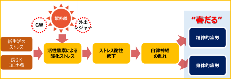 精神的・身体的疲労をもたらす酸化ストレス