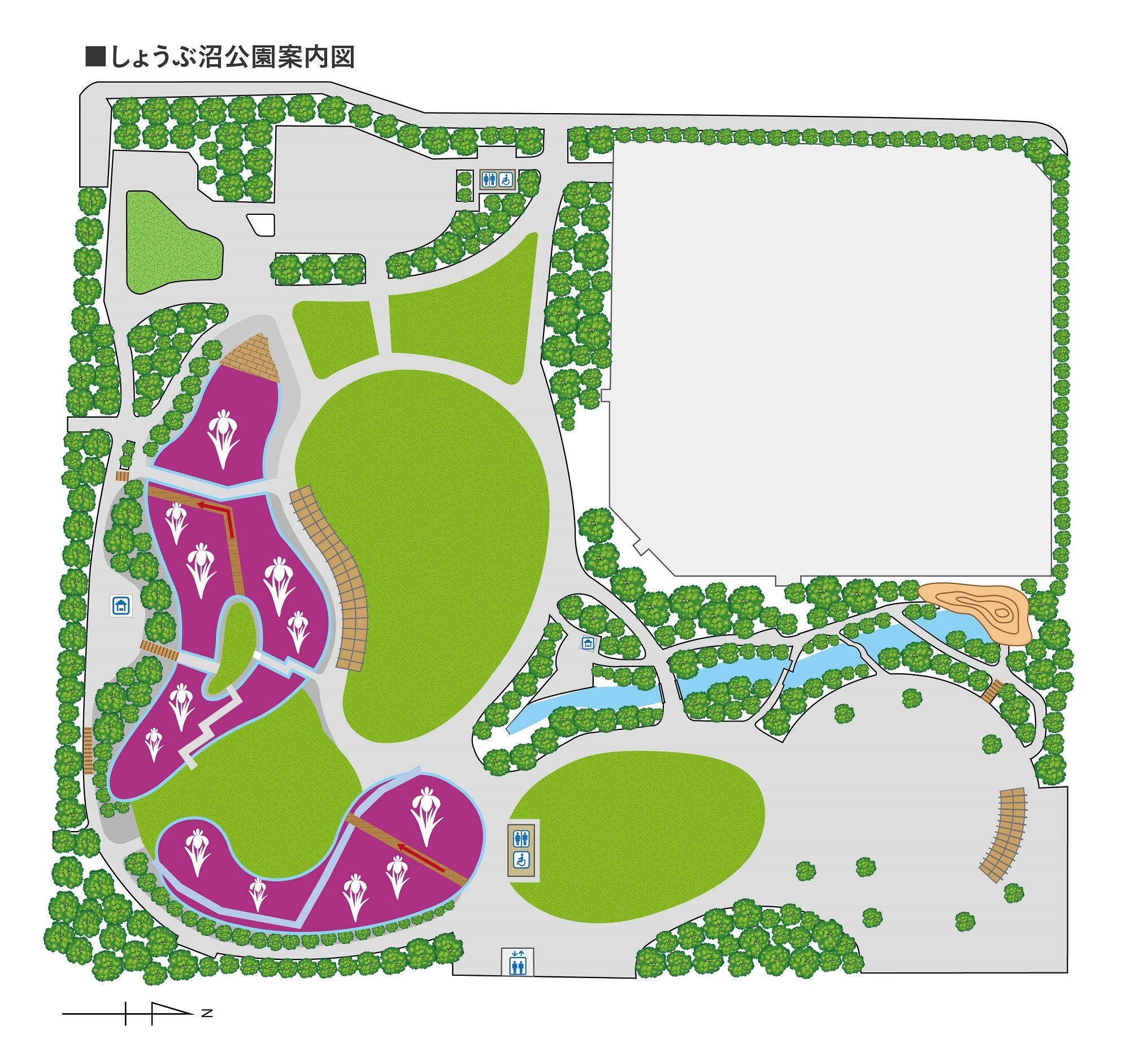 公園内の「紫色の部分」にハナショウブが植えられています。