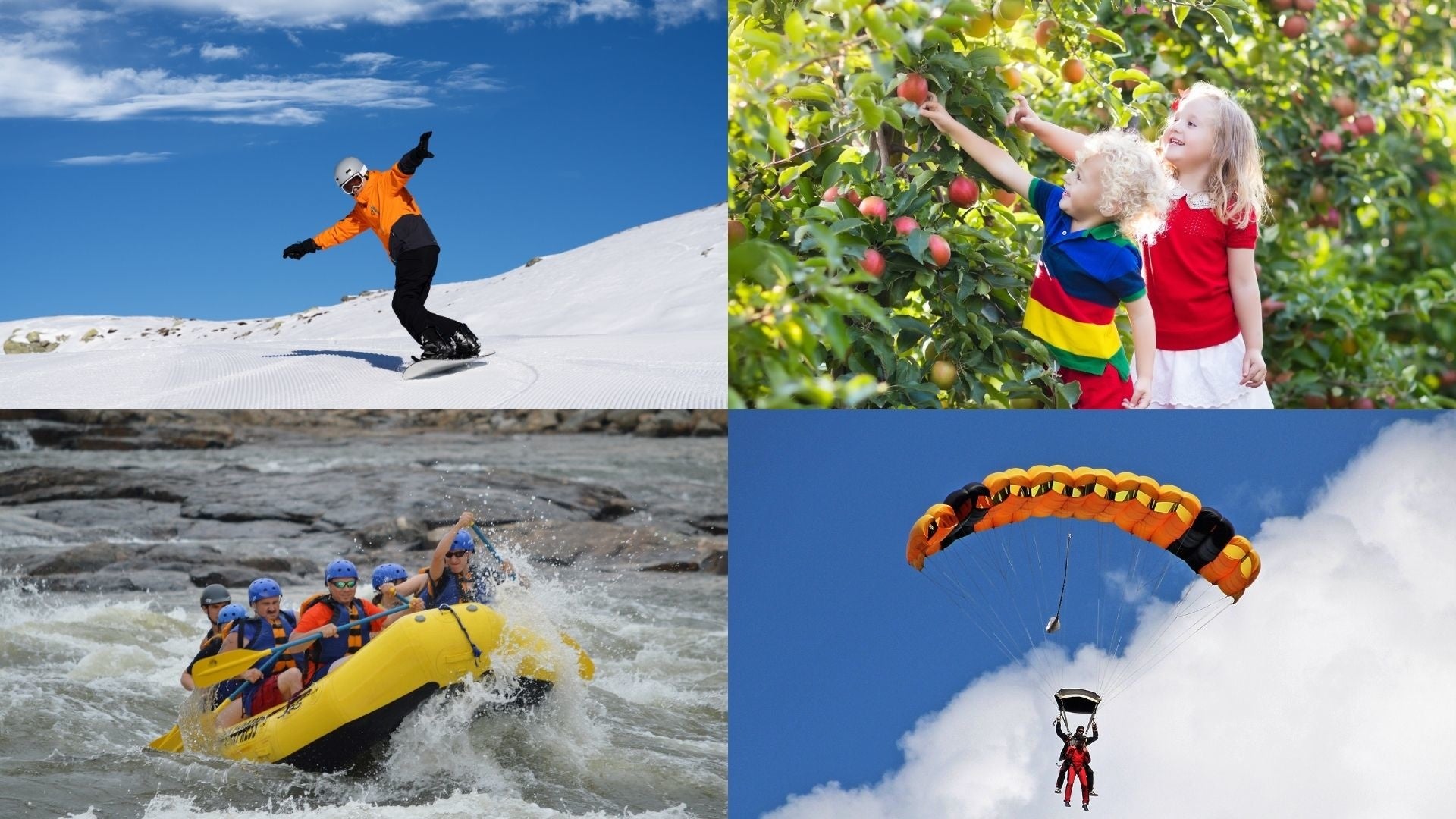 写真はイメージ図です