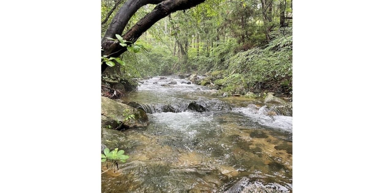 緑溢れるグランピングリゾート