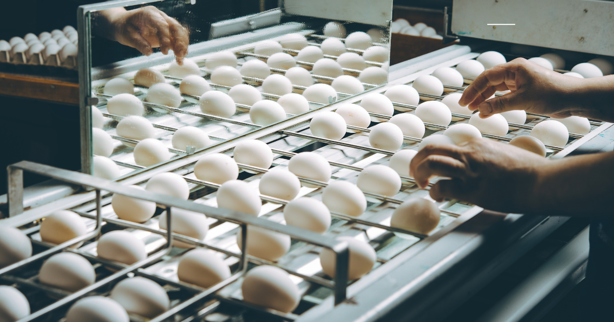 画像はイメージです