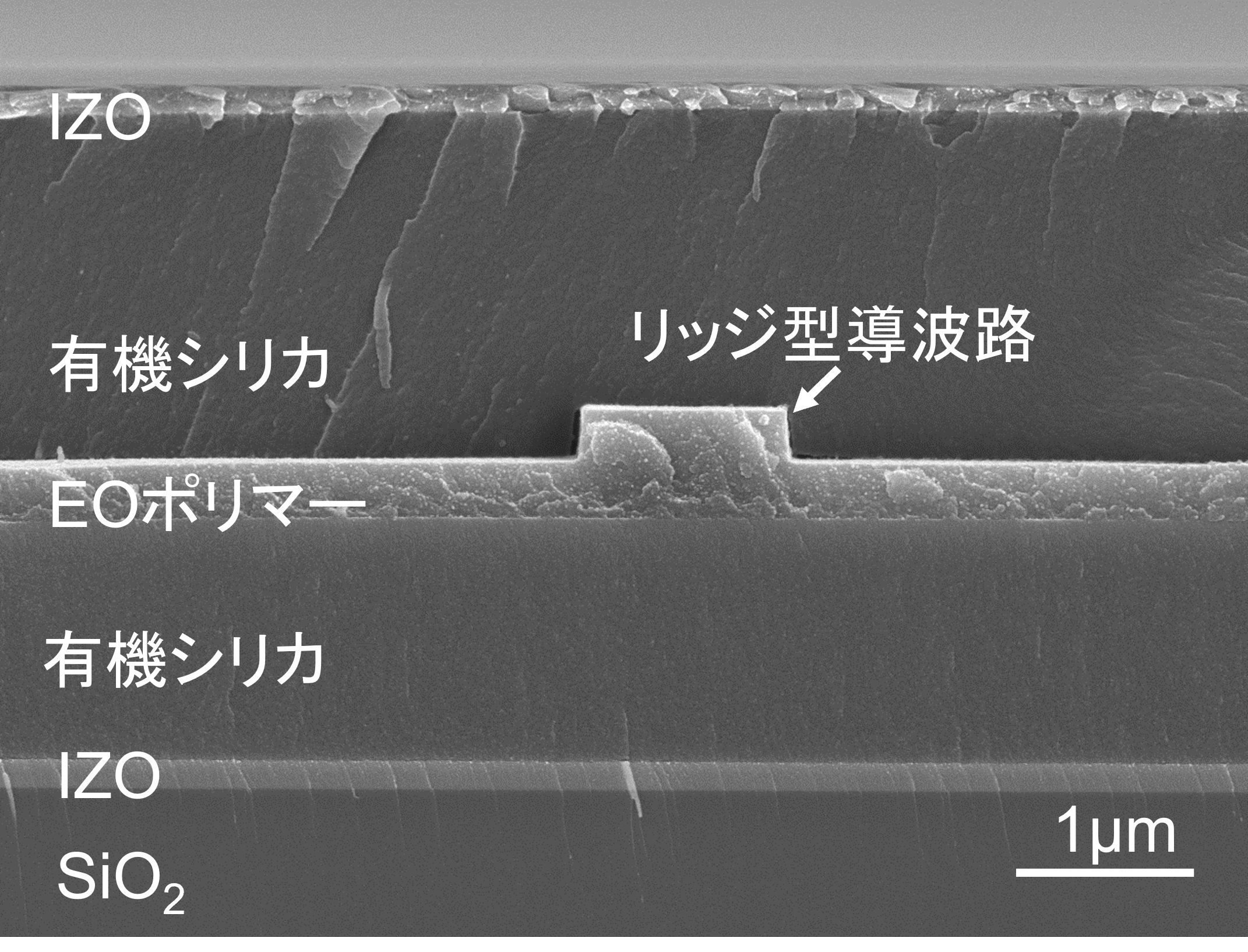 可視光で動作する高効率な有機電気光学ポリマー光変調器を開発 国立研究開発法人情報通信研究機構 Nict のプレスリリース