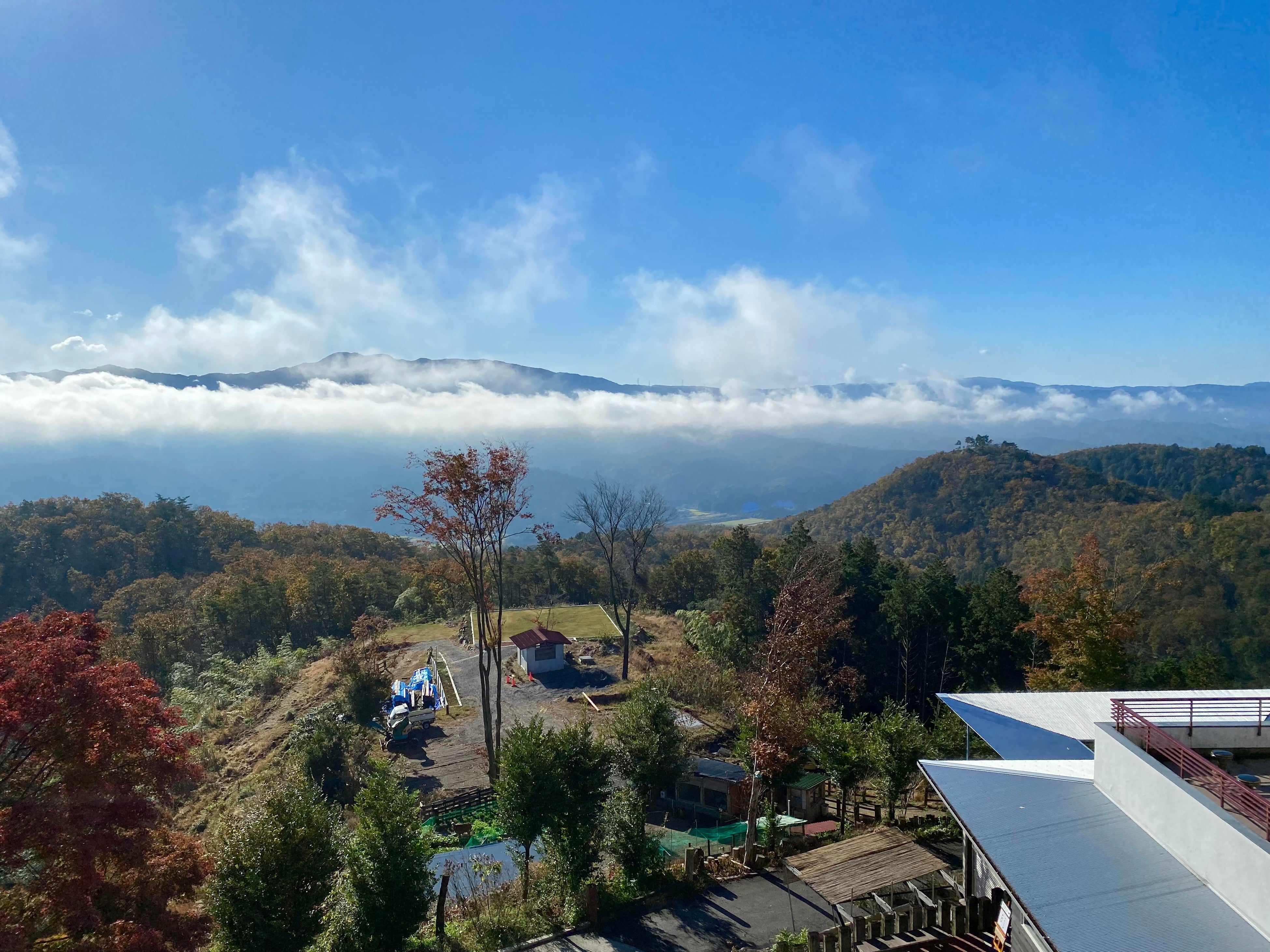 屋上からの景色、広い敷地内にはヘリポートも