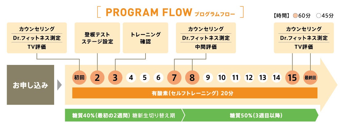 外食派必見!効果的なダイエットプログラム - ダイエットプログラムの概要