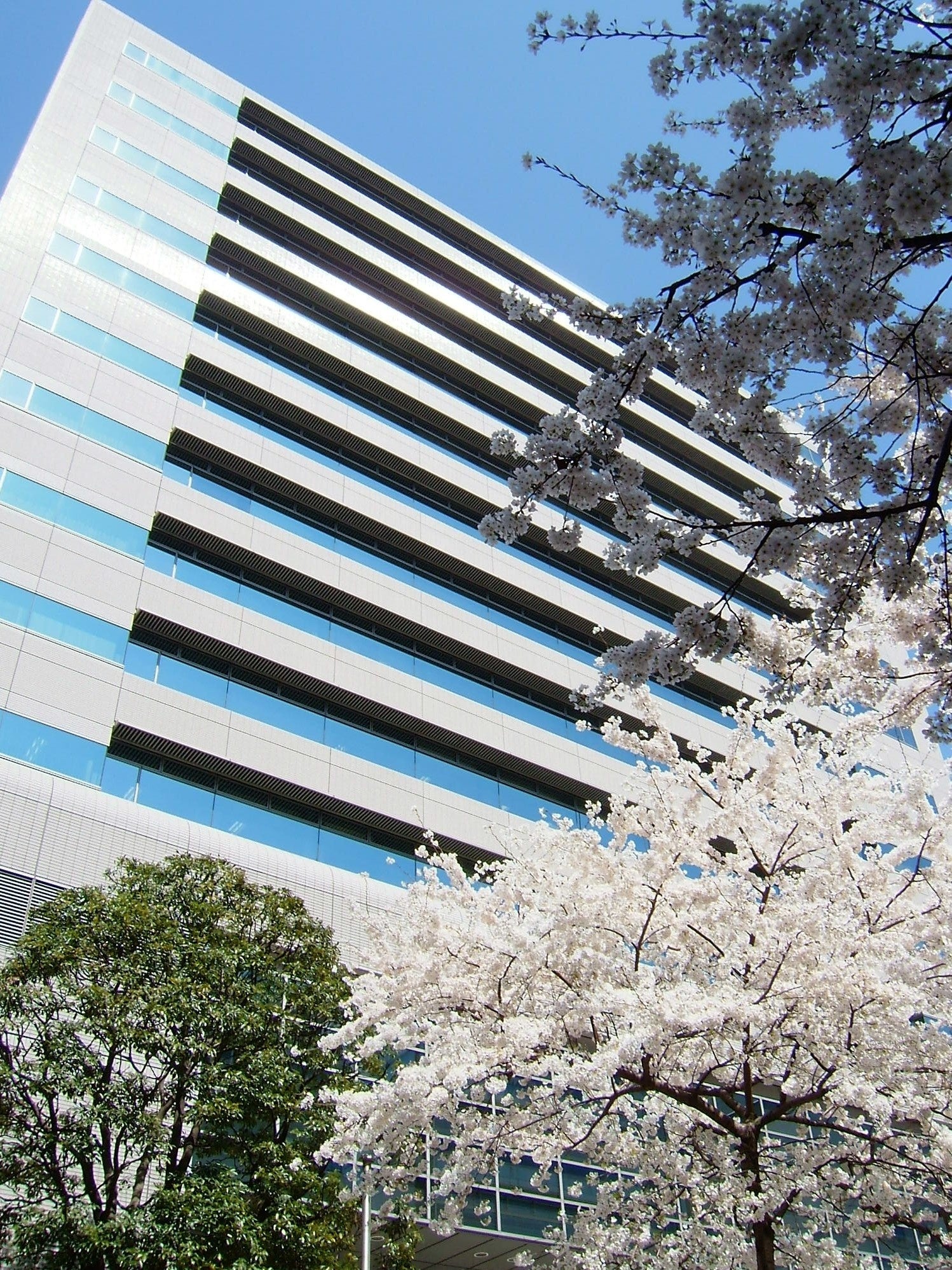 本社_日本橋プラザビル5F