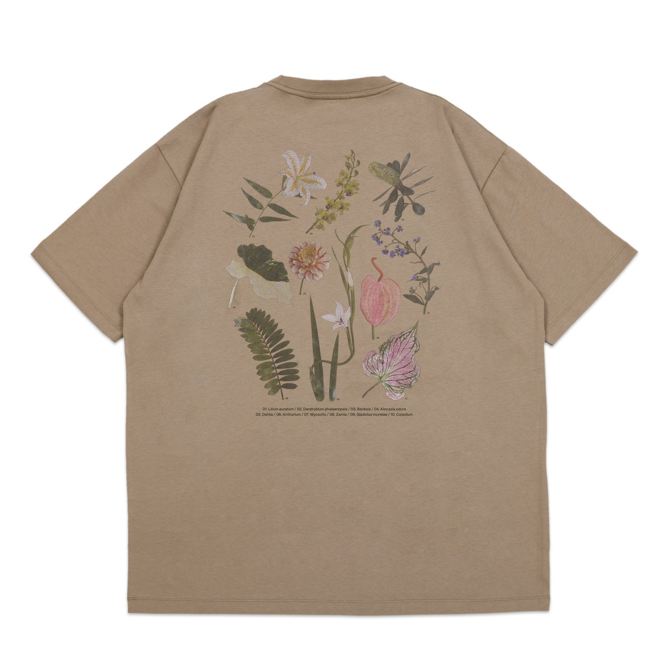 TシャツS~XL展開 税込4,950円