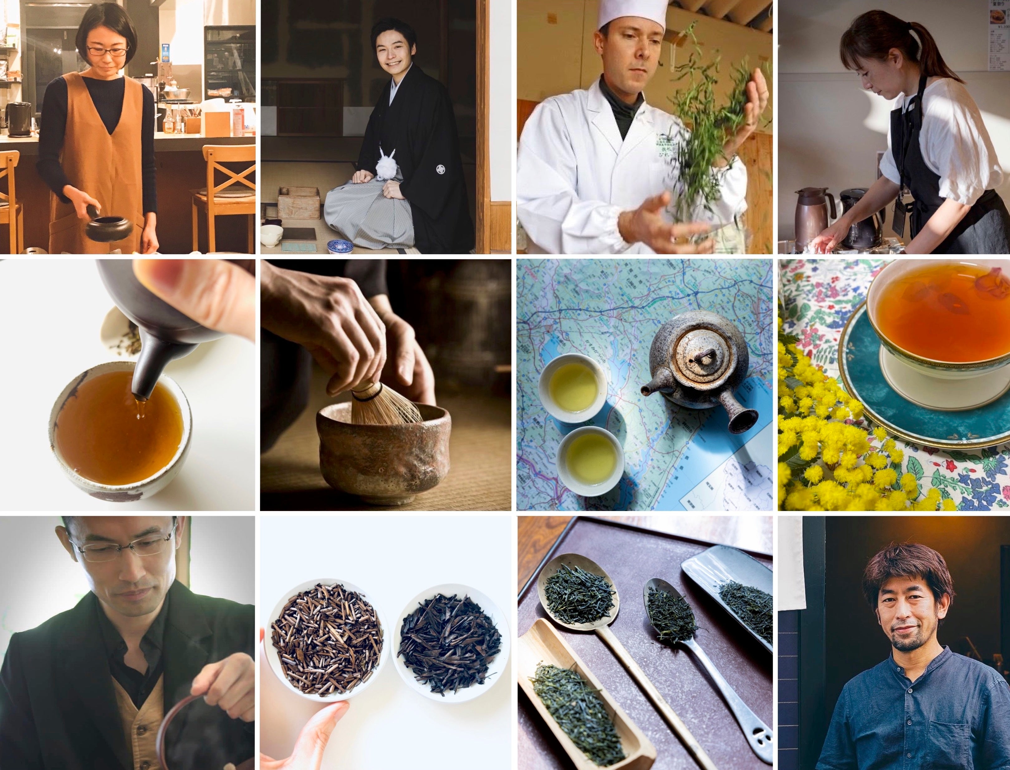 2024年の日本茶インストラクター講座セット(茶器あり) 人生が豊かになる日本茶の知識が身に付く学びイベント「日本茶