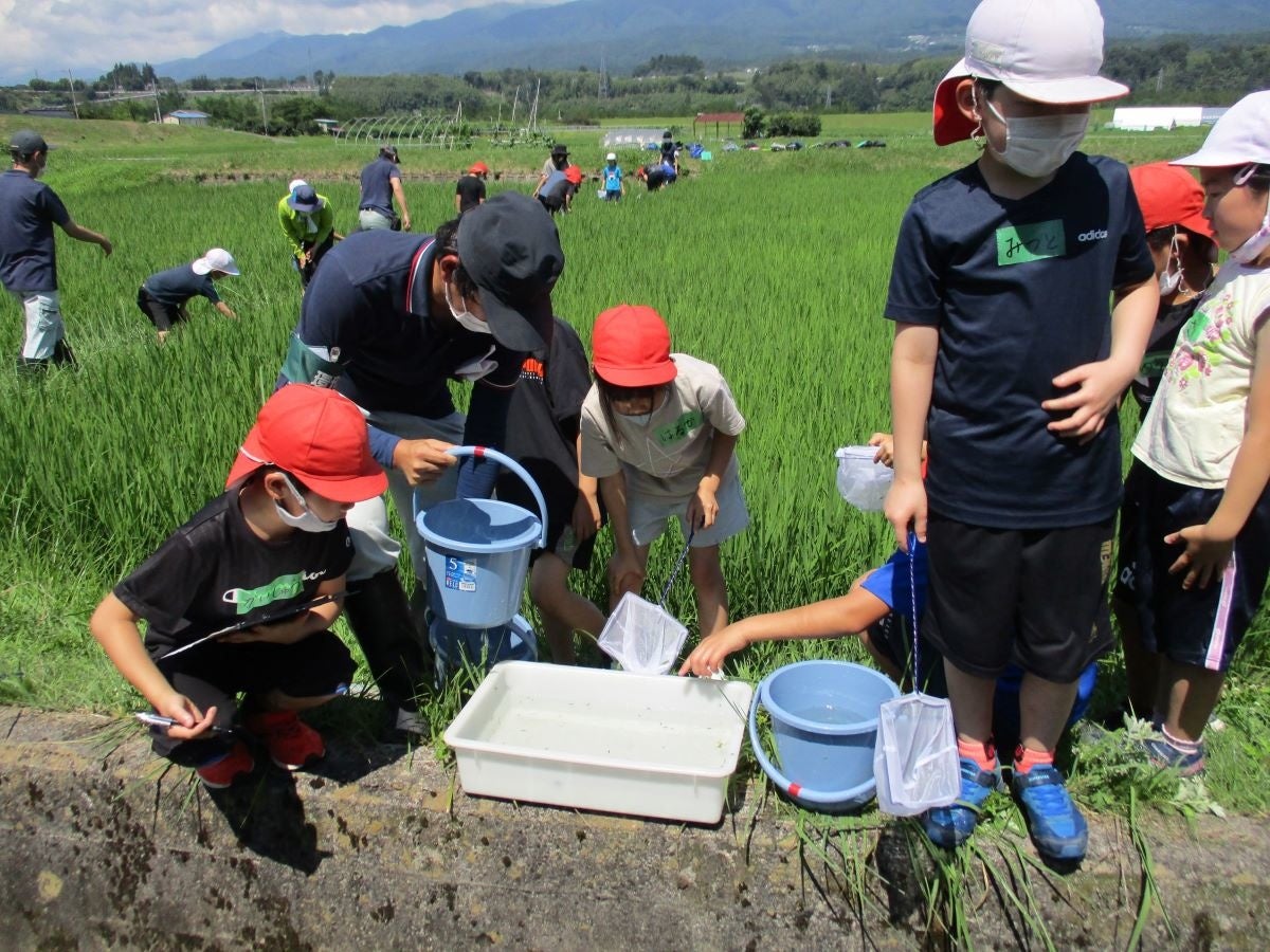松川町の小学生