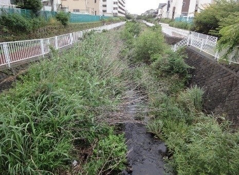 土砂が堆積している様子（R2平戸永谷川）