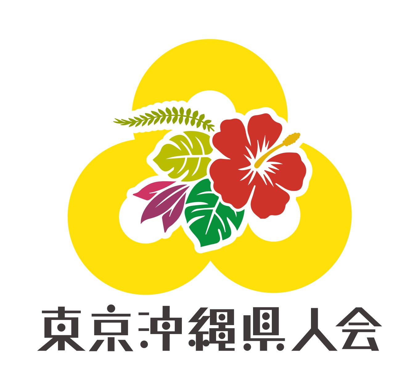 一般社団法人東京沖縄県人会