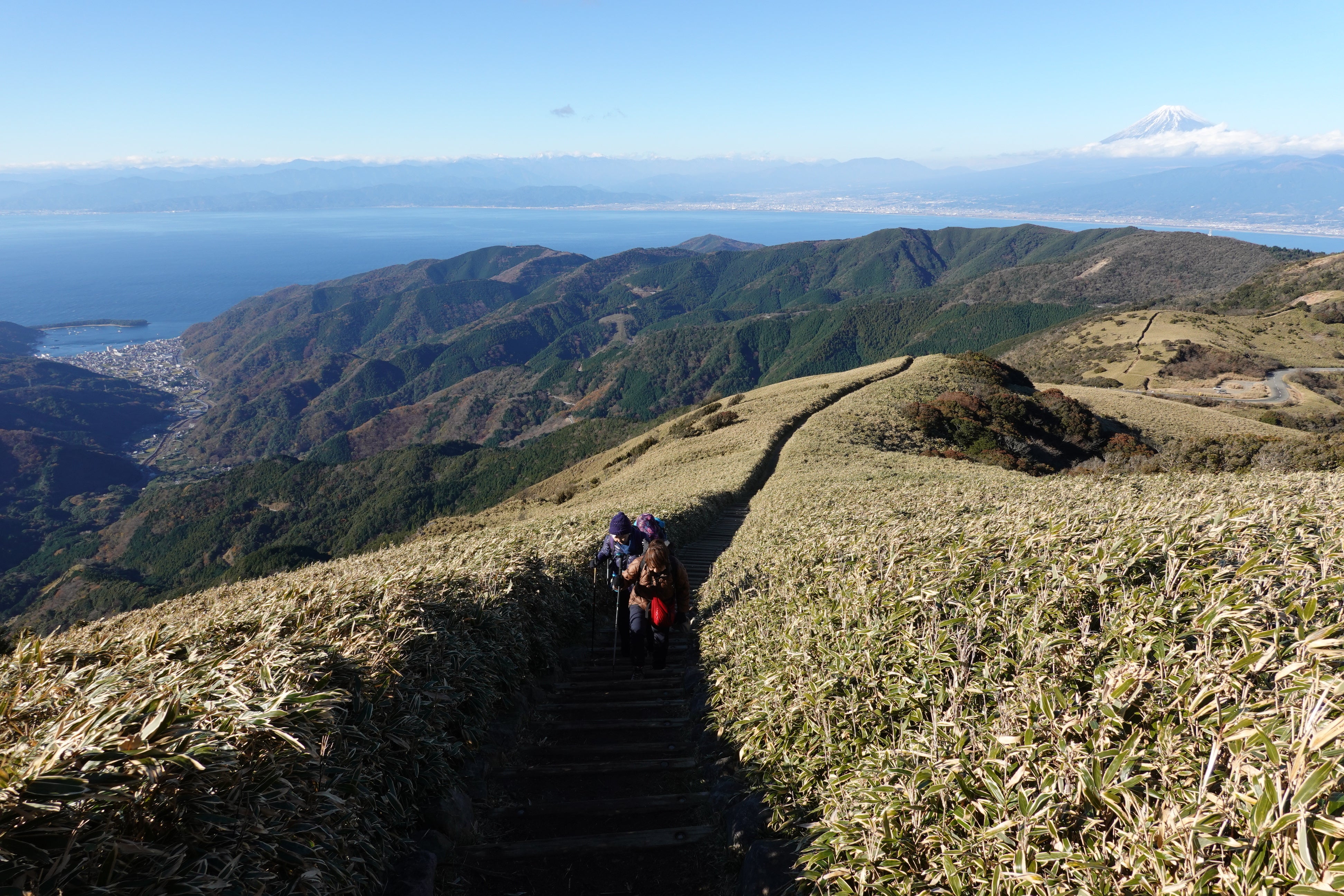 ヤマケイアルペンガイド 北アルプス 白馬・後立山連峰 | 中西