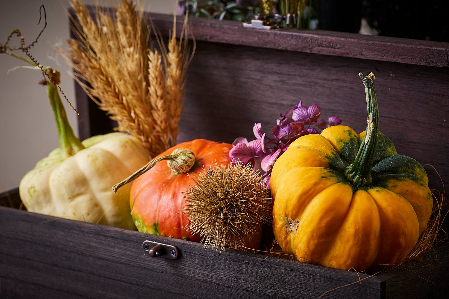 片桐農園のカボチャ