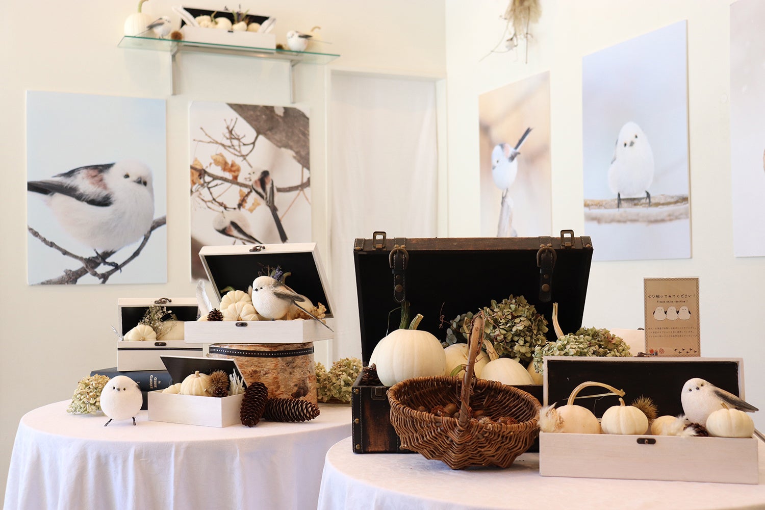 ギャラリー内の展示