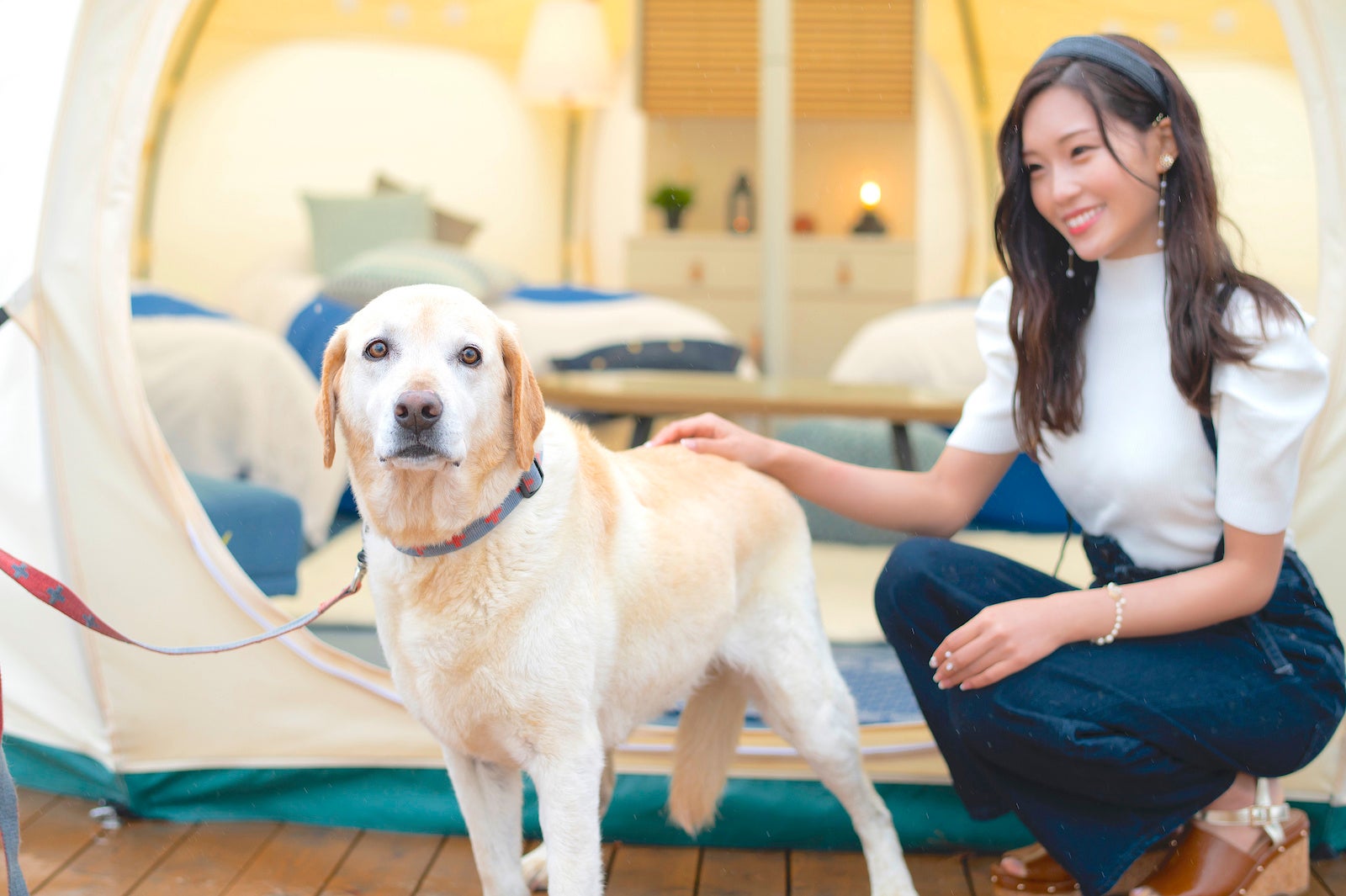 『Ariake Large Dog スイート』にて、大型犬のご宿泊が可能に！