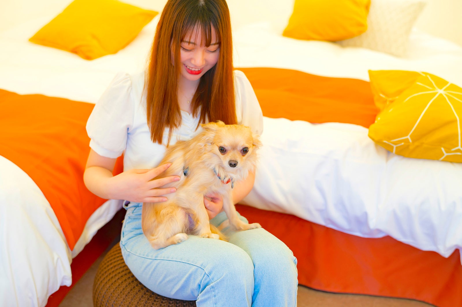 『Tasogare Dogスイート』の室内