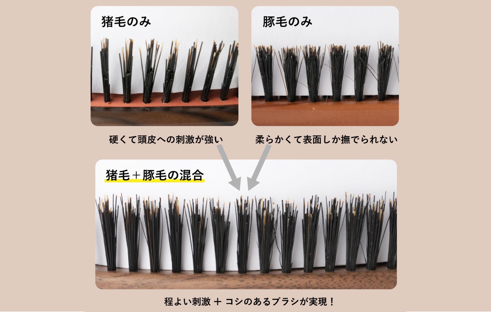 「２種混毛」説明画像