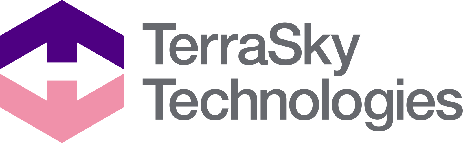 テラスカイ・テクノロジーズロゴ