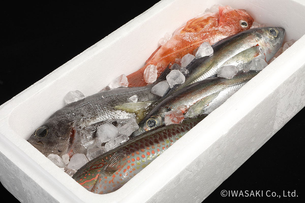 2022年おいしさのアート展作品「親戚のおっちゃんに魚もろた。」