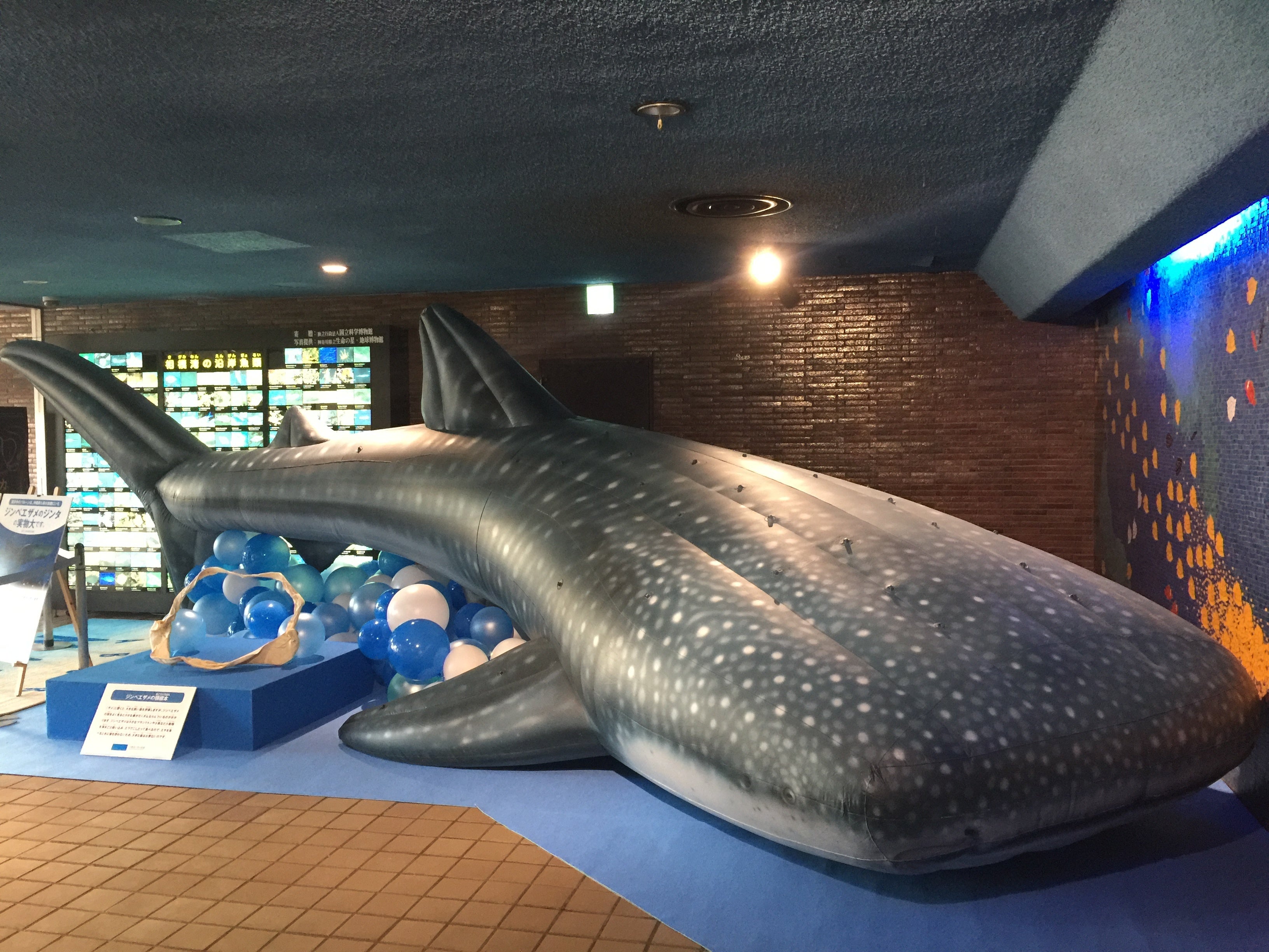 ※2014年、バルーン製作当時