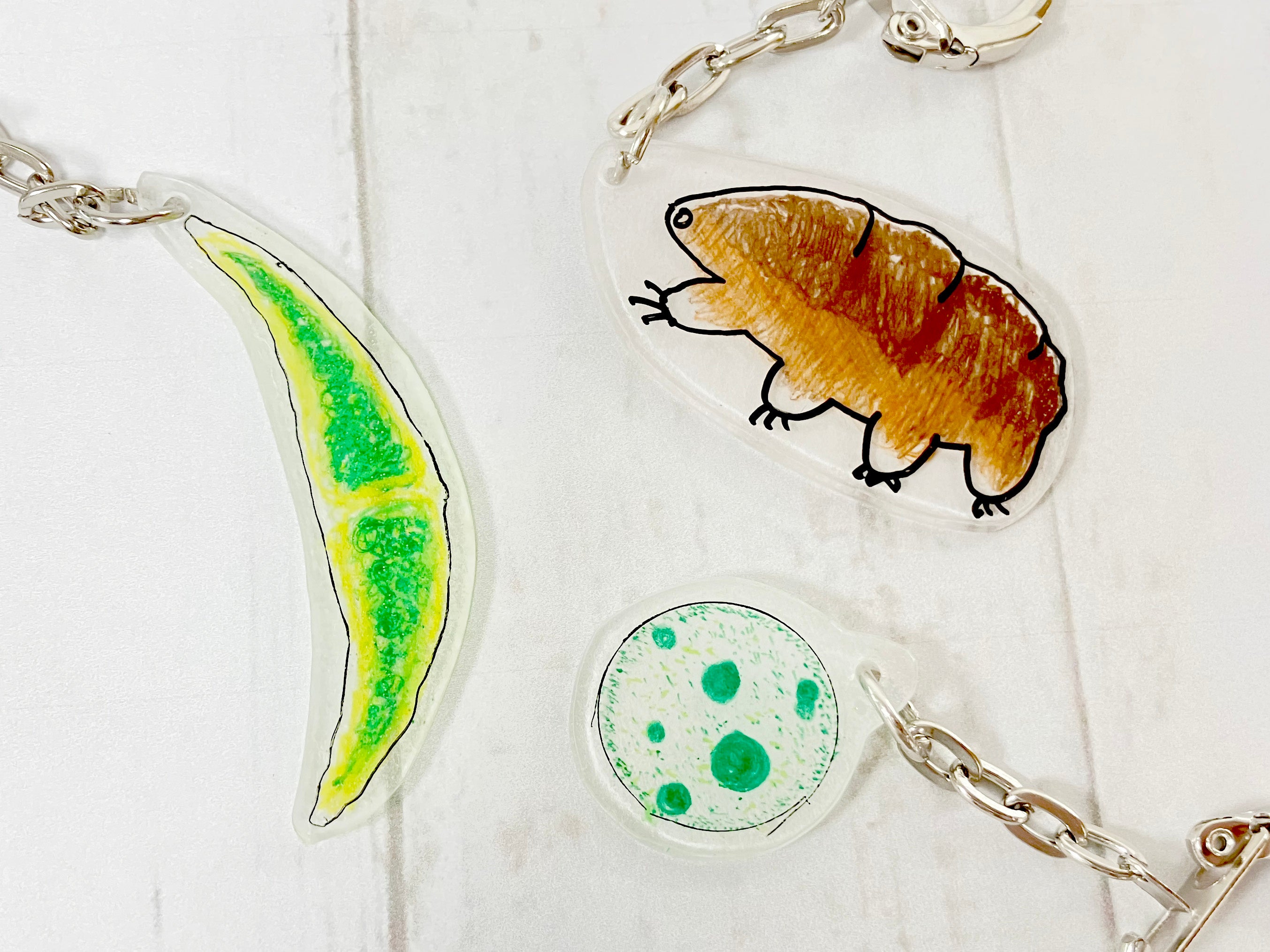 ミクロ生物キーホルダーをつくろう