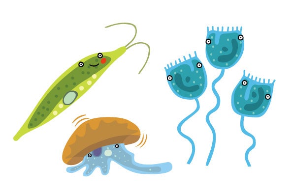 友永たろ　ミクロ生物イラスト