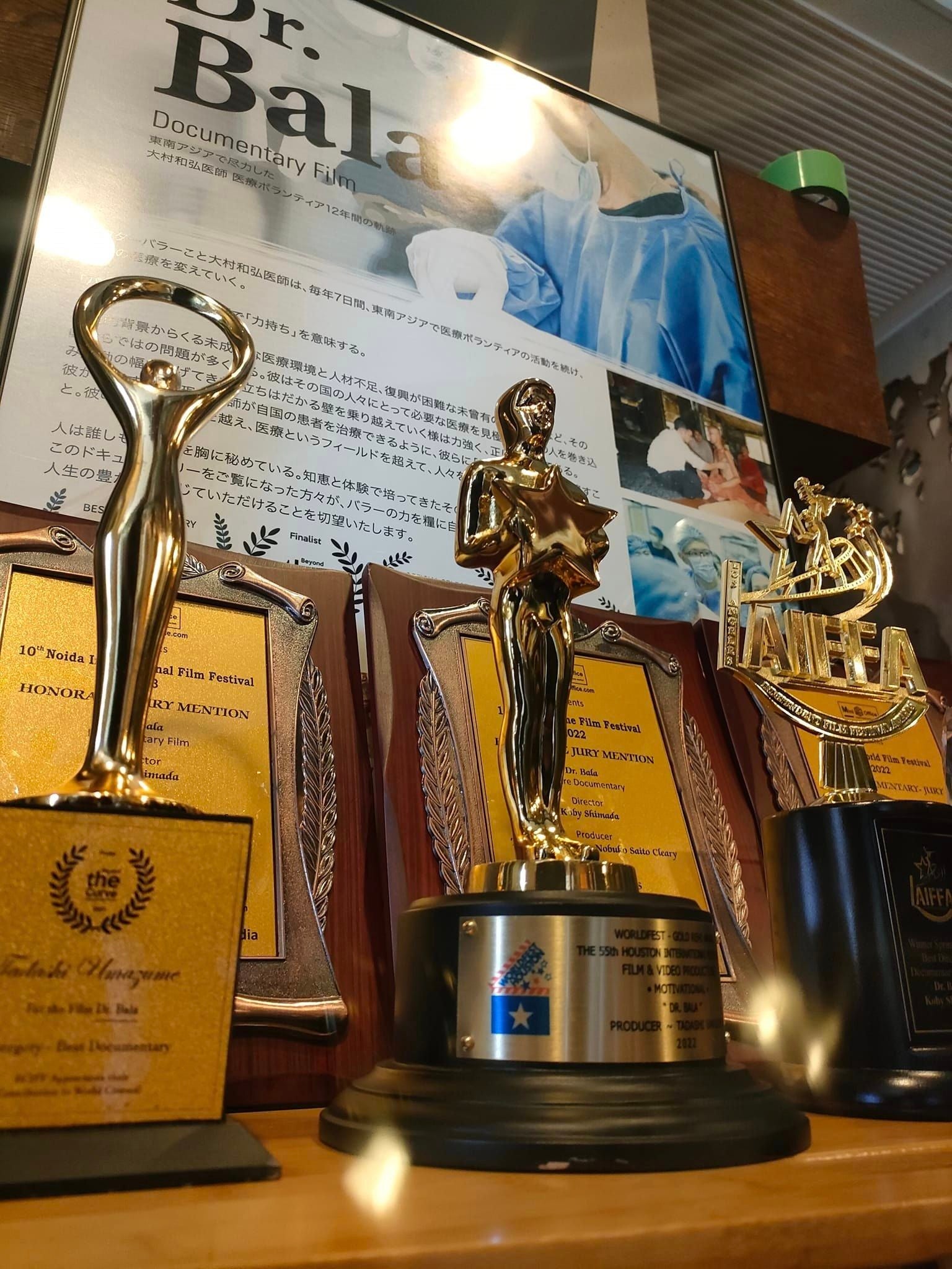 世界の映画祭でさまざまな賞を受賞。