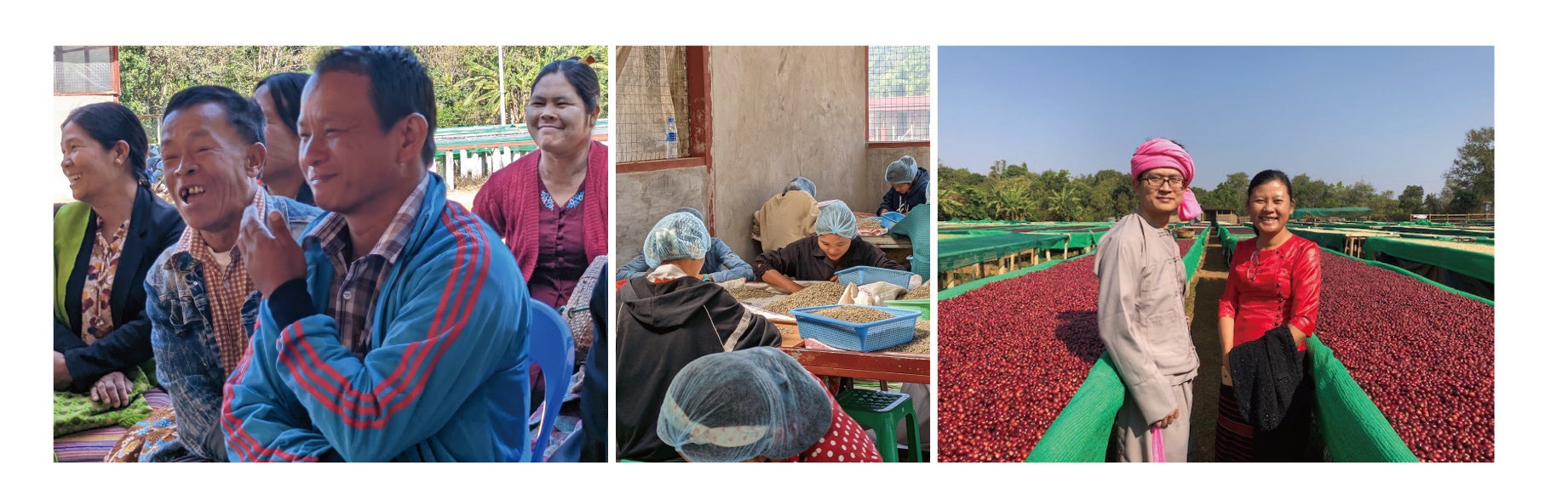 左からユワンガンのコーヒー農家のみなさん、Amayar Women’s Coffee Groupで働く女性たち、生産者代表のSu Su Aungさん（右）と日本への輸出と卸売を担当する親戚のLin Myat Kyawさん（左）。