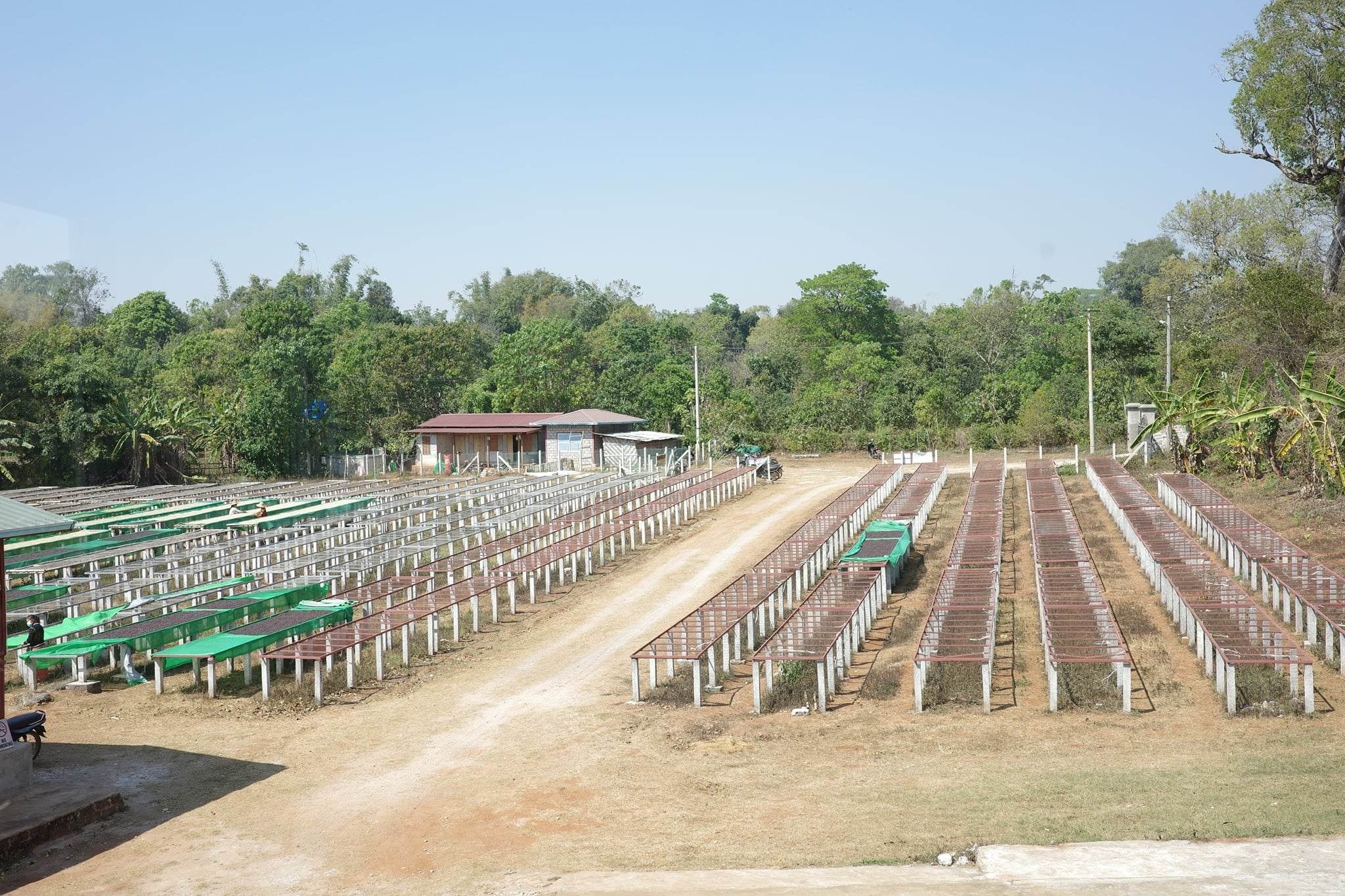 ファクトリー内のガラガラのアフリカンベッド。最盛期にはこれが満杯になります。さらに、反対側にもあり。