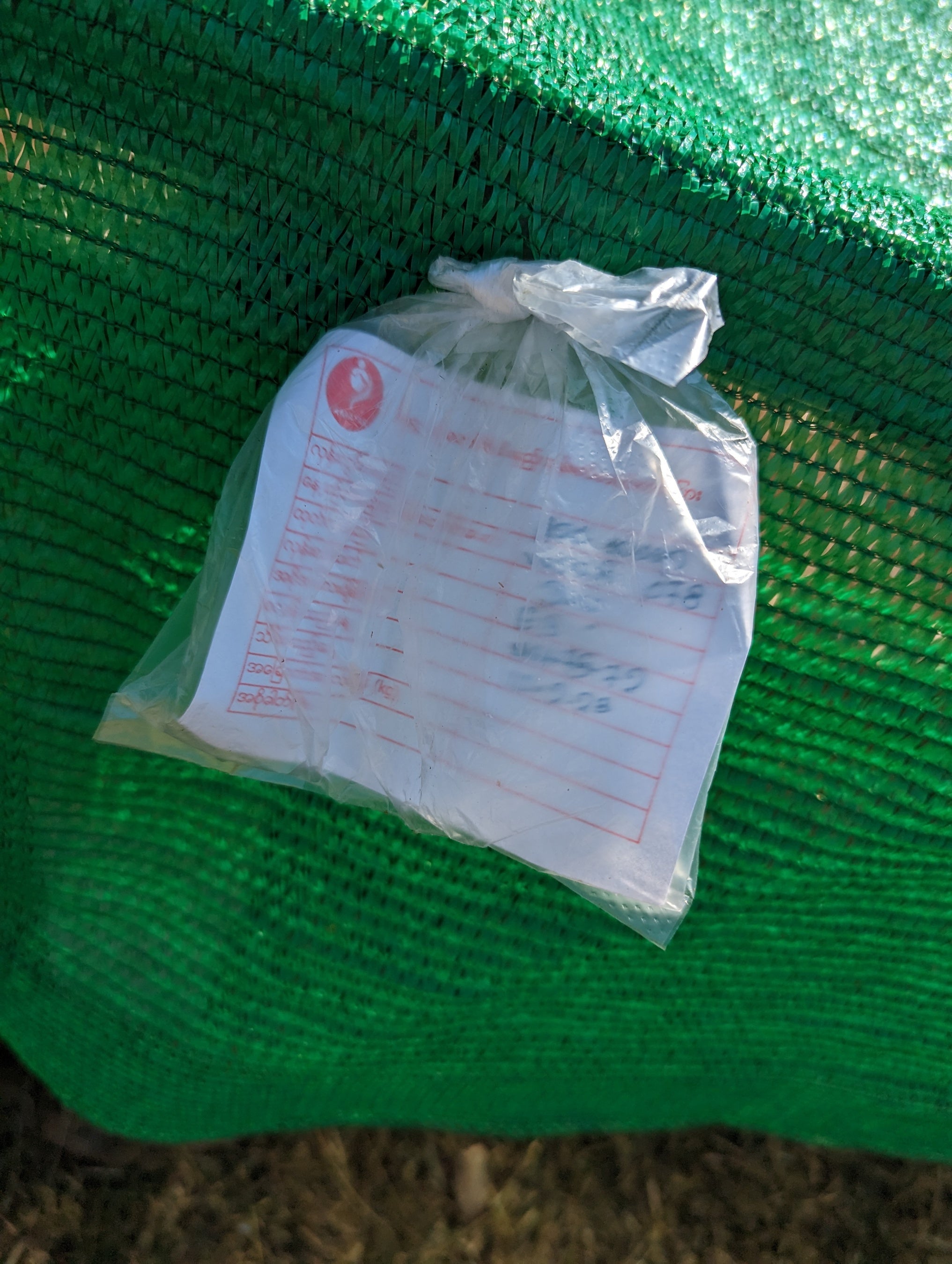 チェリーは製法や日付を記入して、個別に管理されます。