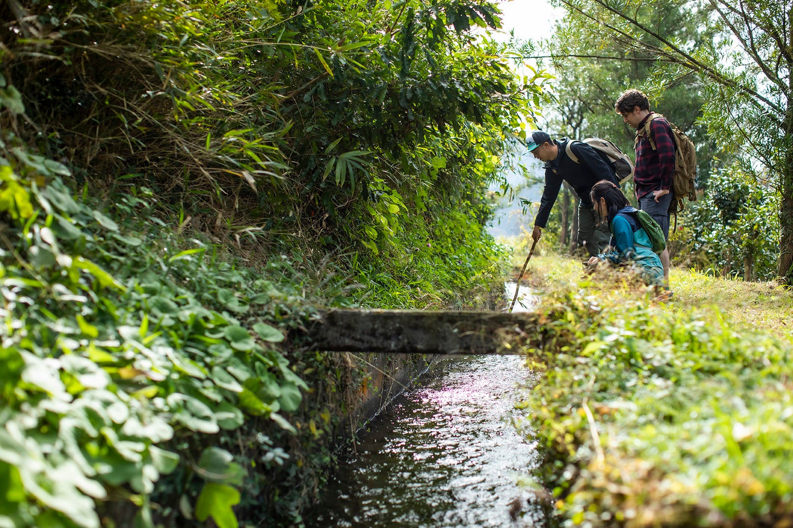 暮らしの秘密を案内人とさぐる
