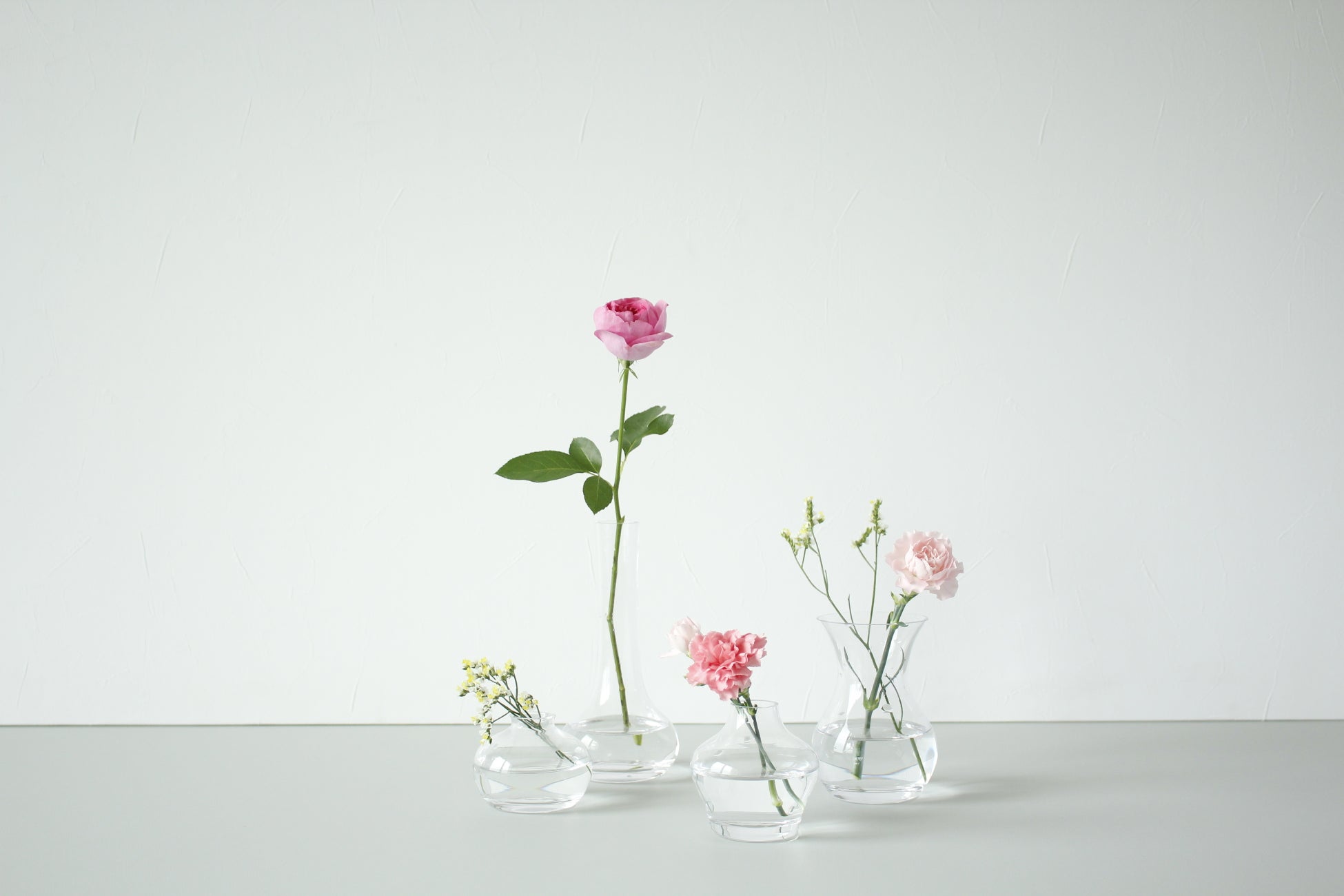 新生活を始めるあなたに 花のある暮らしを 期間限定で初回無料になる新生活応援キャンペーン 株式会社itのプレスリリース 新生活を始めるあなたに 花のある暮らしを 期間限定で初回無料になる新生活応援キャンペーン 株式会社itのプレスリリース