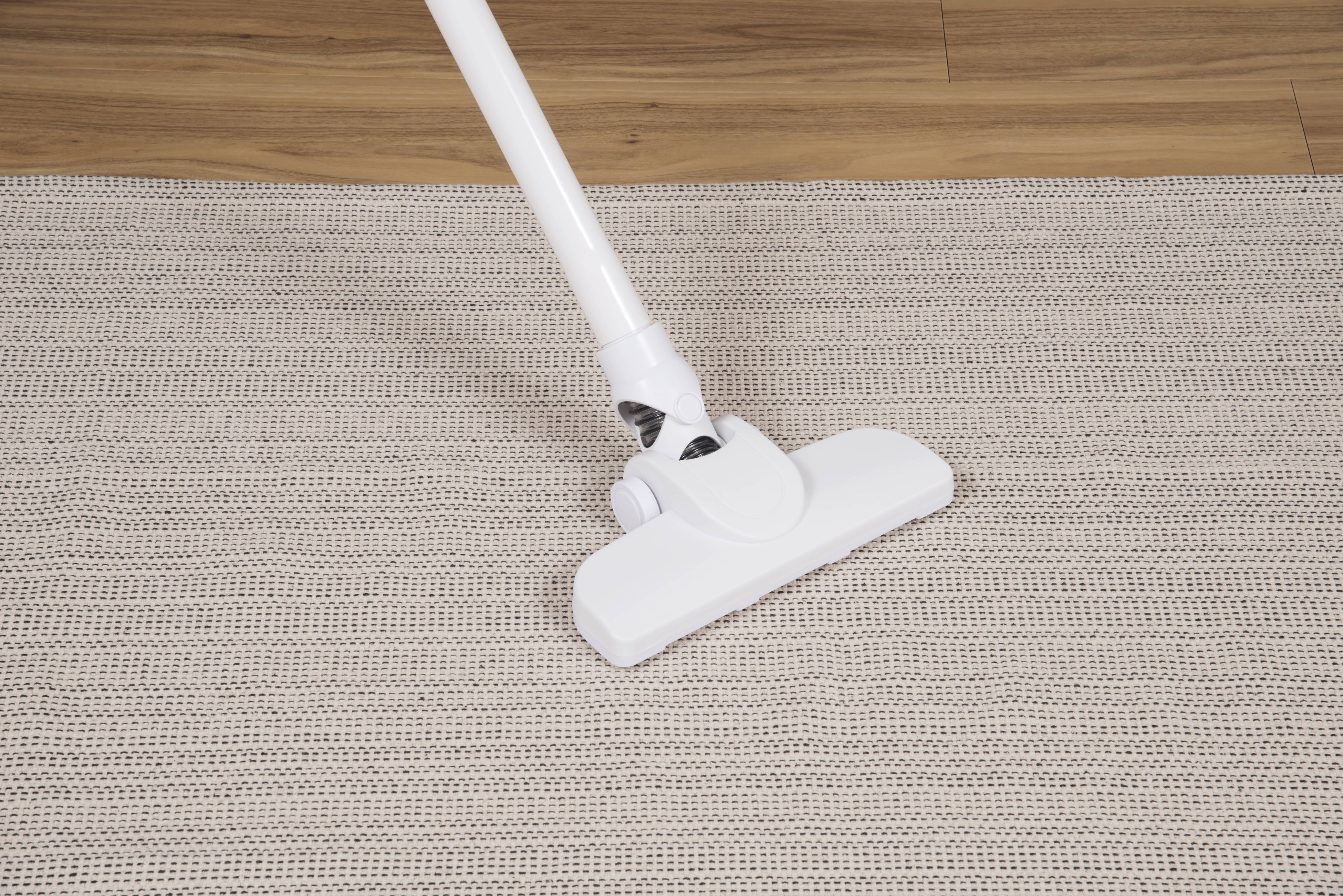 カーペット掃除イメージ