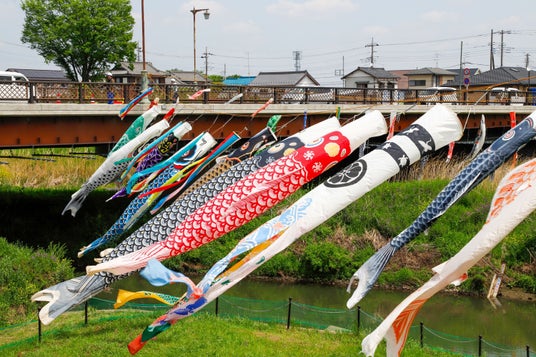 新河岸川に春の風に乗って、250匹のこいのぼりが泳ぎます 新河岸川に春の風に乗って、250匹のこいのぼりが泳ぎます