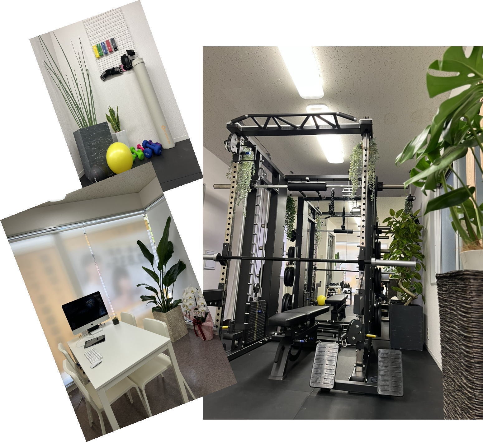 ELEMENT芦屋店店内