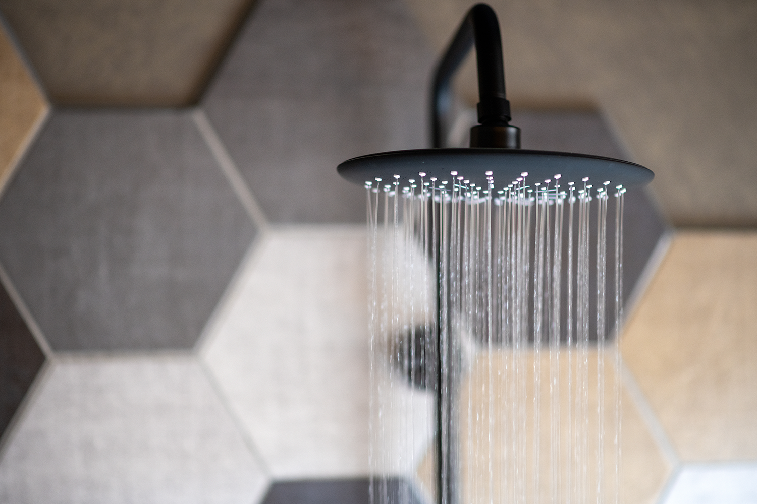 禊ぎ処「道灌」