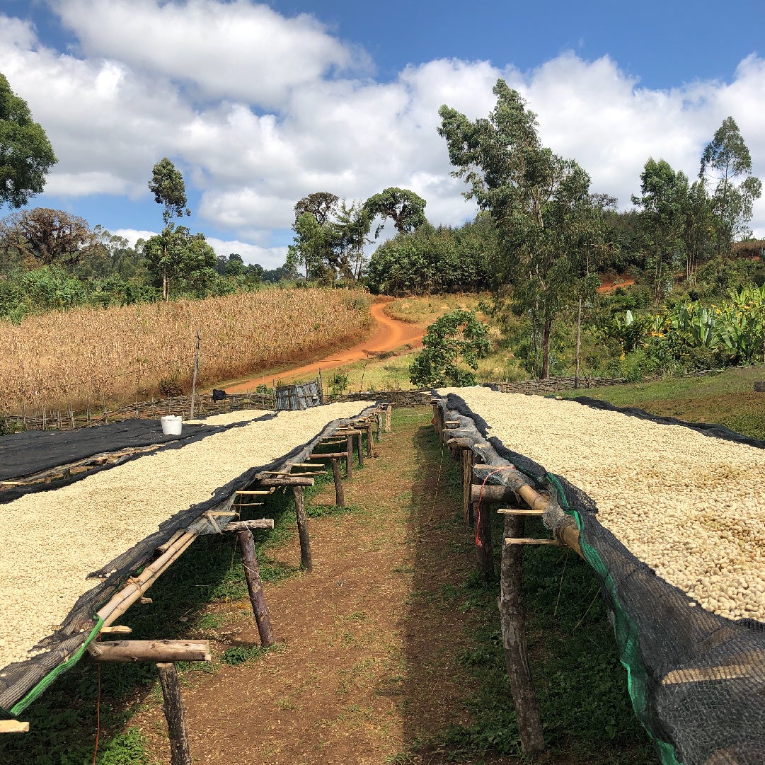 ウォッシュトプロセス