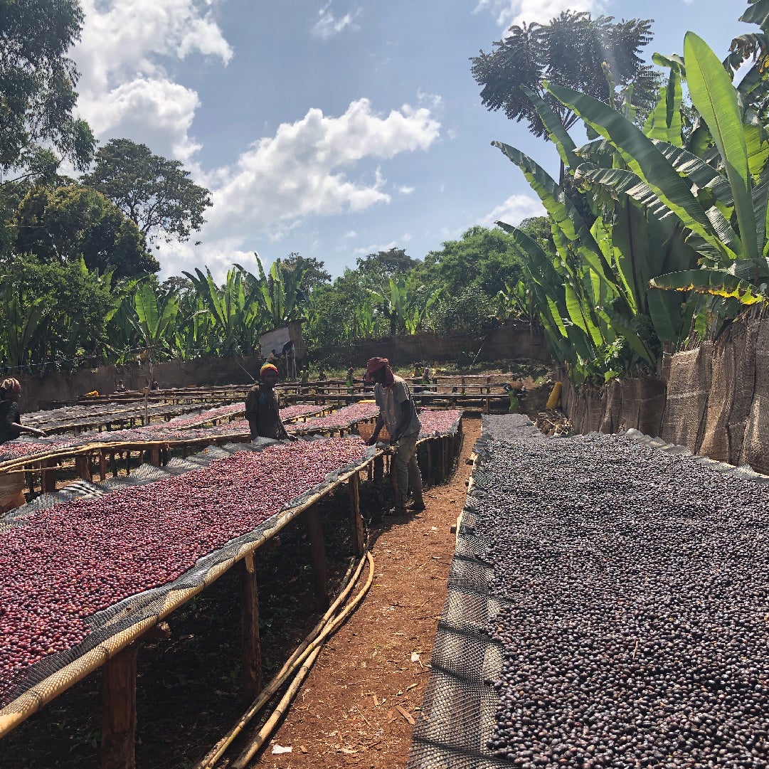 ナチュラルプロセス