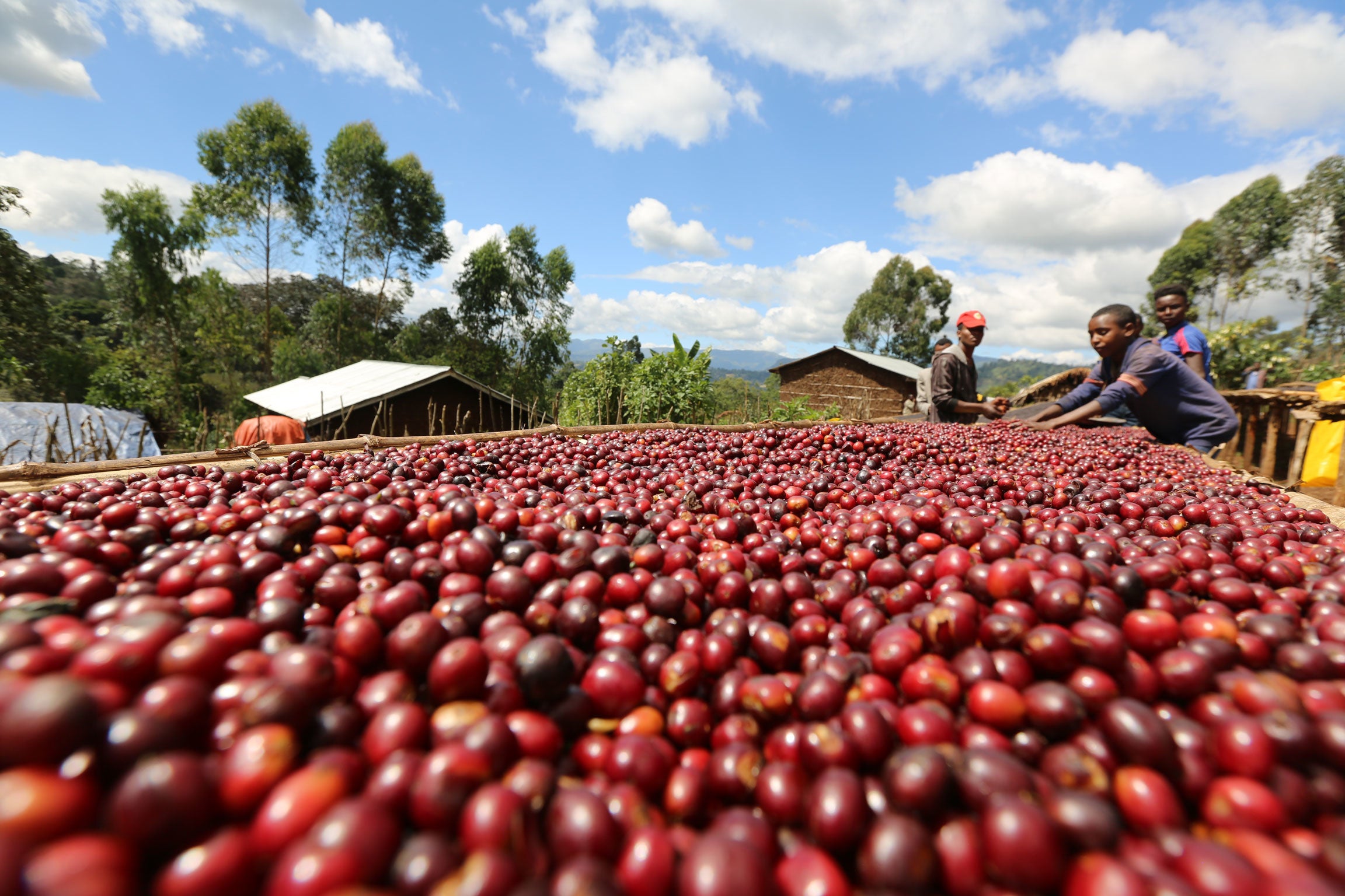 寄贈した網による天日干し風景