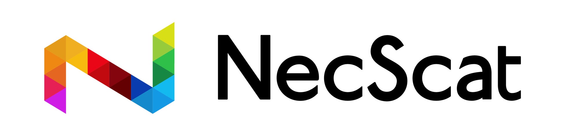 ネクスキャット株式会社について