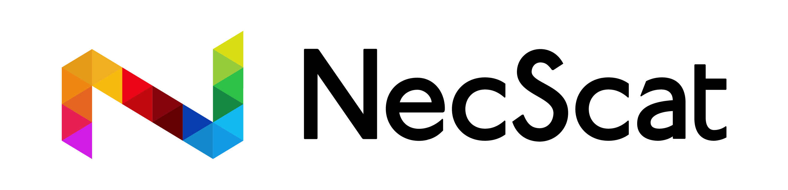 ネクスキャット株式会社について